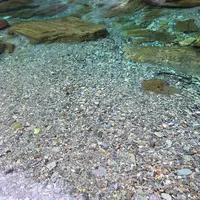 安居渓谷の写真・動画_image_131030