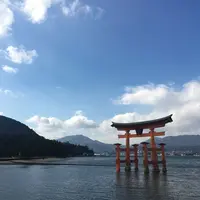 厳島神社の写真・動画_image_131035