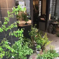 野の花 司の写真・動画_image_131045