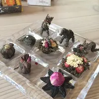 CROESUSの写真・動画_image_131053