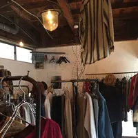 ZIGの写真・動画_image_131057