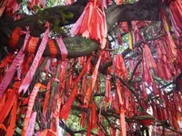 Suoi Tien Amusement Parkの写真・動画_image_131111
