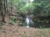 小石川後楽園の写真・動画_image_131132