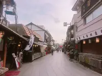 柴又帝釈天参道の写真・動画_image_131348