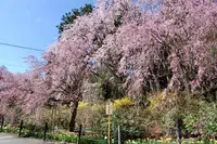 光前寺の写真・動画_image_131403