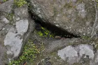 光前寺の写真・動画_image_131406