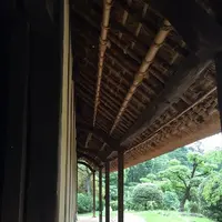 薬師池公園の写真・動画_image_131485