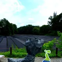 大王わさび農場の写真・動画_image_131563