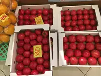 サムソンホテルの写真・動画_image_131803