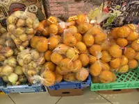 サムソンホテルの写真・動画_image_131810