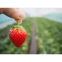 日光花いちもんめの写真・動画_image_131940