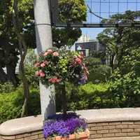 アメリカ山公園の写真・動画_image_131949