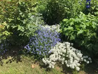 港の見える丘公園の写真・動画_image_131954
