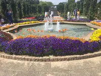 港の見える丘公園の写真・動画_image_131956