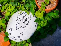 よつばカフェの写真・動画_image_131958