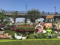 象の鼻パークの写真・動画_image_131965
