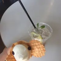 象の鼻カフェの写真・動画_image_131971