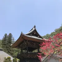 安楽寺の写真・動画_image_131998