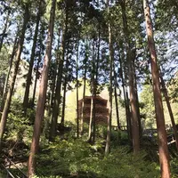 安楽寺の写真・動画_image_132000
