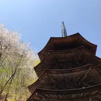 安楽寺の写真・動画_image_132001