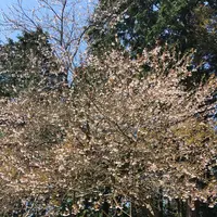 大山の写真・動画_image_132023