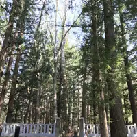 長谷寺の写真・動画_image_132045