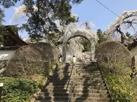 長谷寺の写真・動画_image_132049