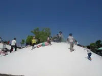 京都競馬場の写真・動画_image_132189