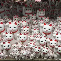 豪徳寺の写真・動画_image_132209