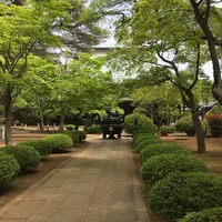 豪徳寺の写真・動画_image_132210