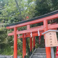 鶴岡八幡宮の写真・動画_image_132354