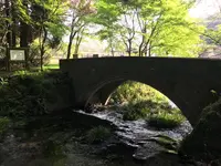 池山水源の写真・動画_image_132460