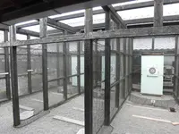 甲賀流忍術屋敷の写真・動画_image_132491