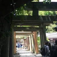銭洗弁財天 宇賀福神社の写真・動画_image_132521