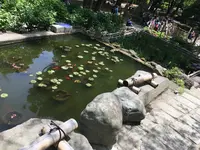 葛原岡神社の写真・動画_image_132525