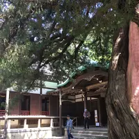 円覚寺の写真・動画_image_132531