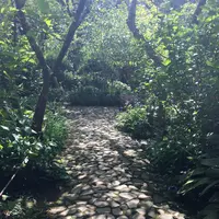 明月院（あじさい寺）の写真・動画_image_132534