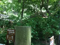 明月院（あじさい寺）の写真・動画_image_132536