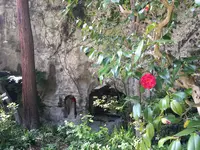 明月院（あじさい寺）の写真・動画_image_132538