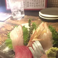 魚屋さんじゅうまるの写真・動画_image_132593
