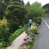 地中美術館の写真・動画_image_132648