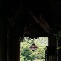 長谷寺の写真・動画_image_132654