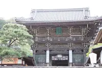 長谷寺の写真・動画_image_132657