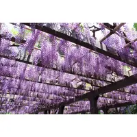 上下水道局 鳥羽水環境保全センターの写真・動画_image_132666