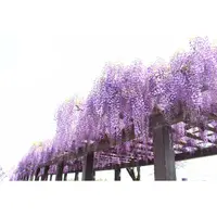 上下水道局 鳥羽水環境保全センターの写真・動画_image_132667