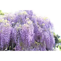 上下水道局 鳥羽水環境保全センターの写真・動画_image_132668