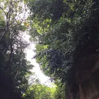 猿島の写真・動画_image_132774