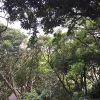 猿島の写真・動画_image_132776