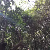 猿島の写真・動画_image_132777