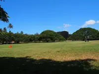 モアナルア・ガーデンズの写真・動画_image_132835